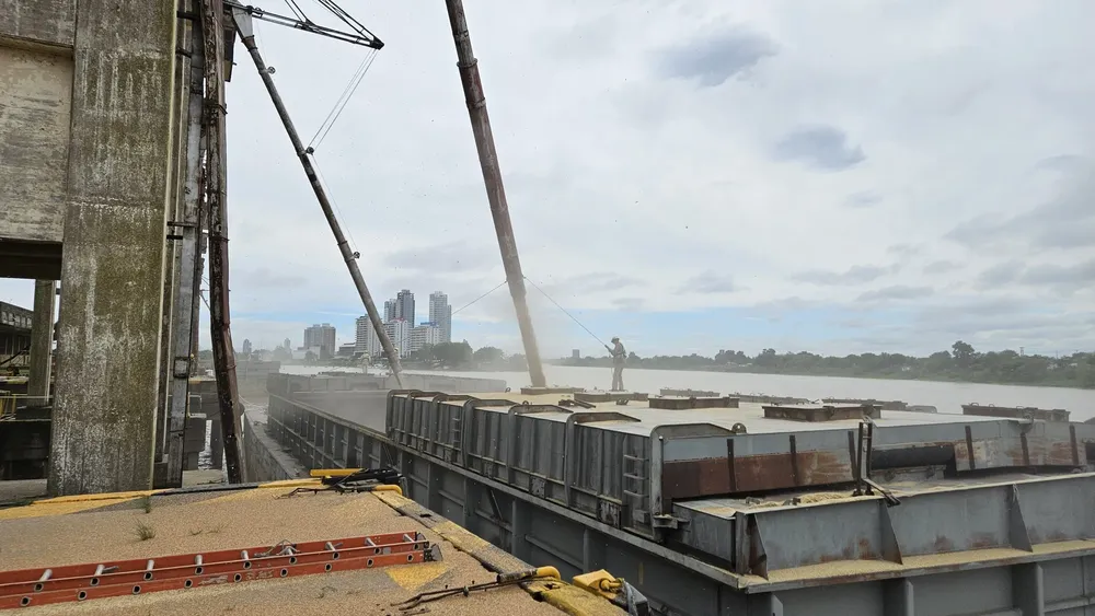 puerto-trigo-carga-scaled