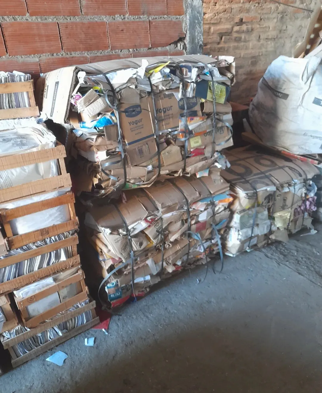 441881332_765898355735372_6438054414636486587_n