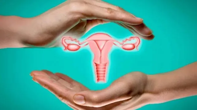 cuello-uterojpg