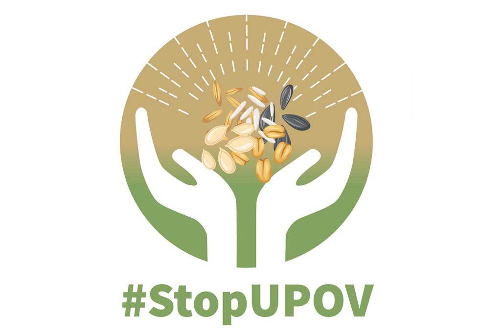 semilla-upov-02-1024x683