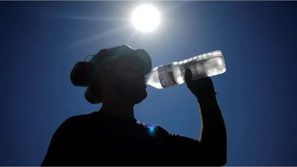 Ola de calor