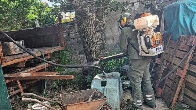 caso-dengue-altos-del-vallejpg