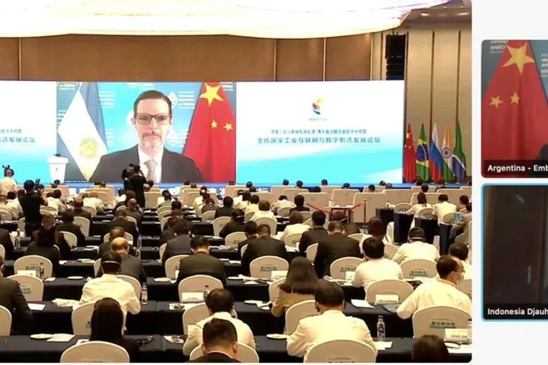 Brics 6