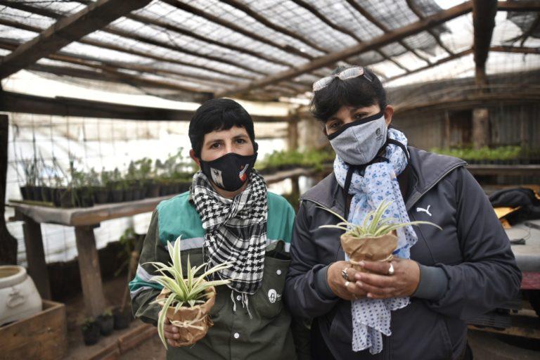 Vivero-barria-empleadas-del-vivero-768x512