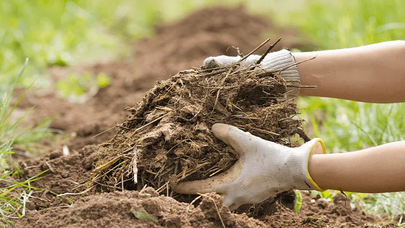 web_fertilizar_tierra_estiercol_ead66c11bb