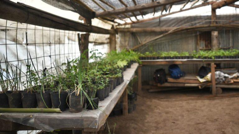 Vivero-barrial-3-768x432