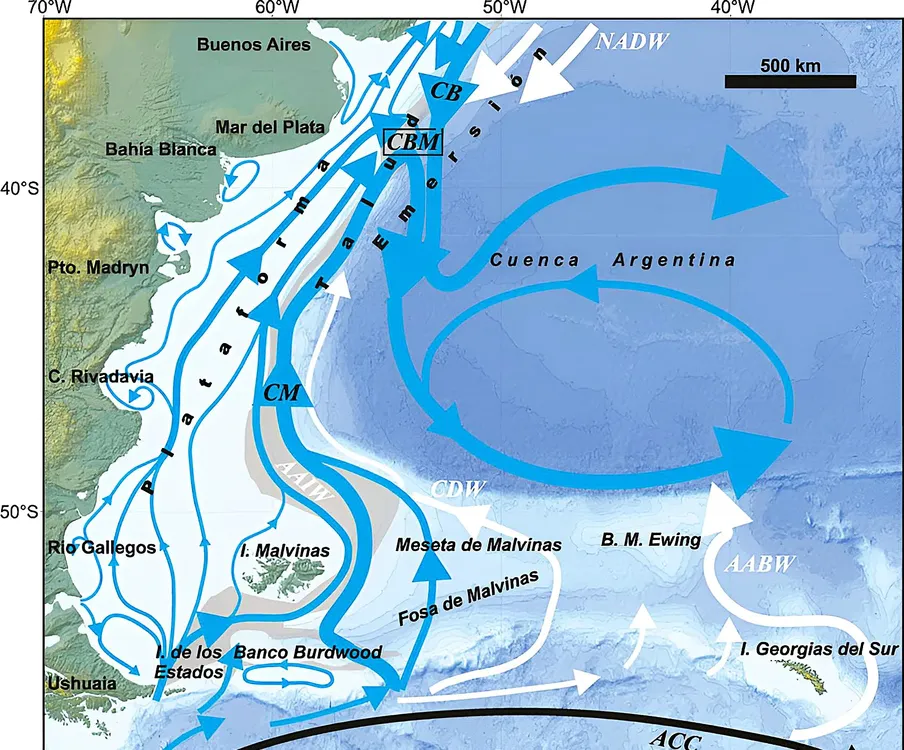 Expedición nueva