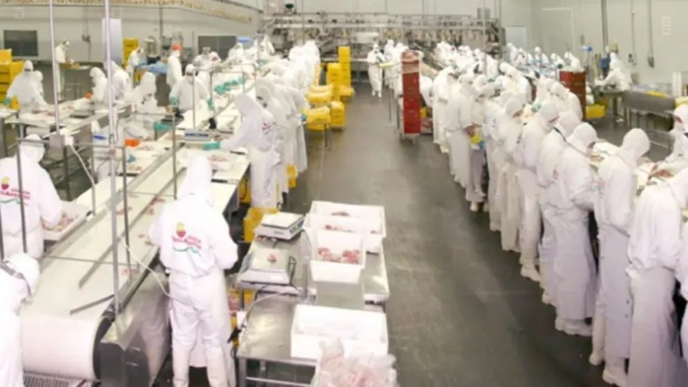 Productora avícola 3