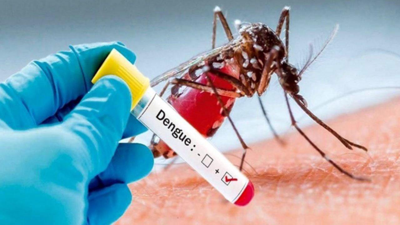 Dengue