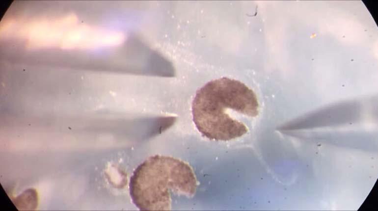 fotojet-2021-11-29t155623.029-700x352